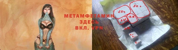 амф Верхний Тагил