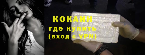 амф Верхний Тагил