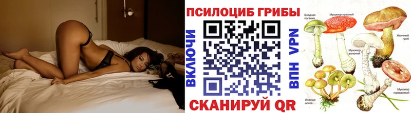 закладка Лиски Псилоцибиновые грибы ЛСД